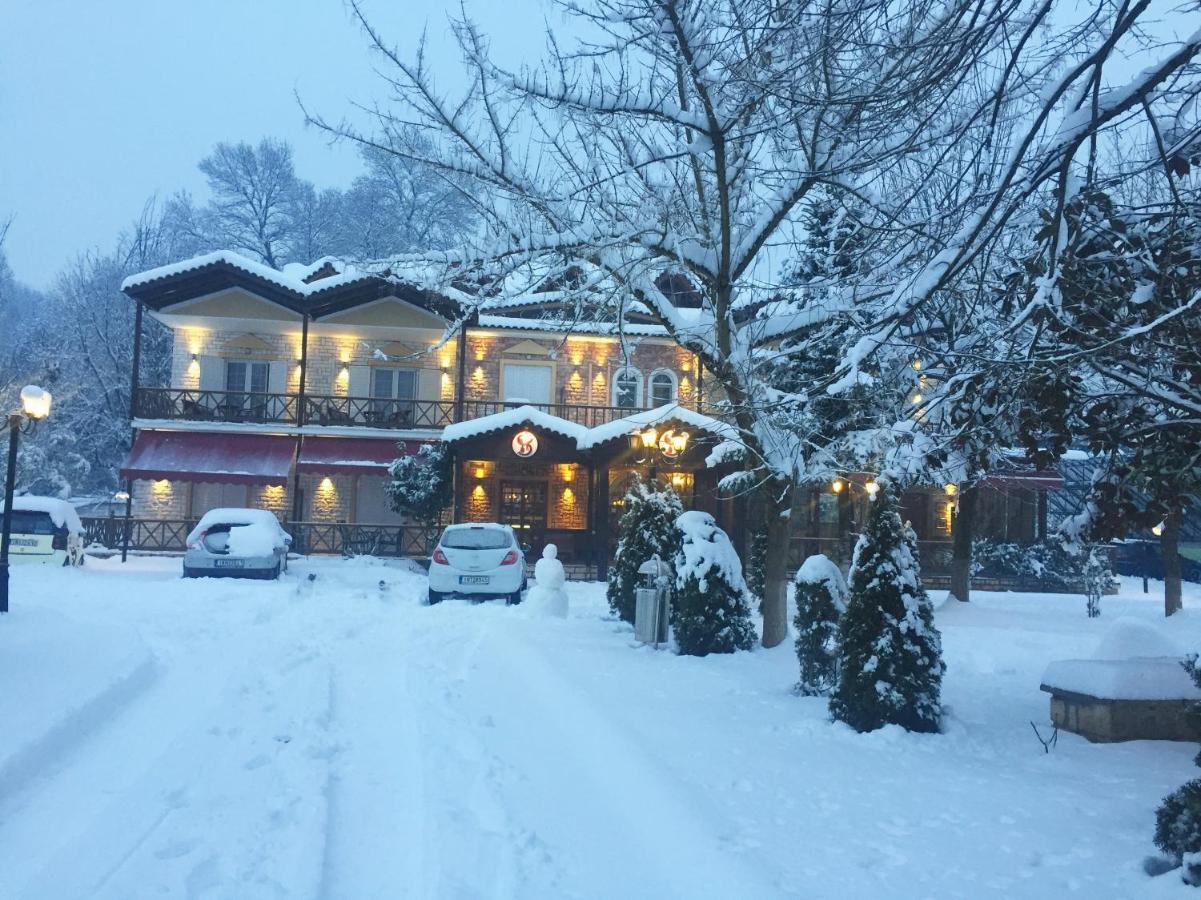 Krikonis Hotel 约阿尼纳 外观 照片